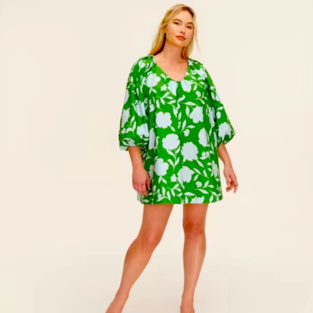 Women’s Classic Rose Poplin long sleeve mini dress